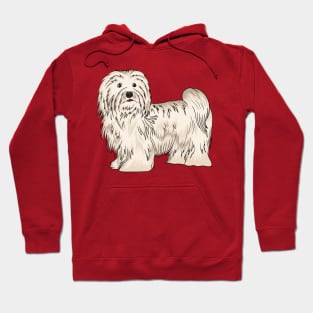 Havanese dog cartoon illustration Hoodie